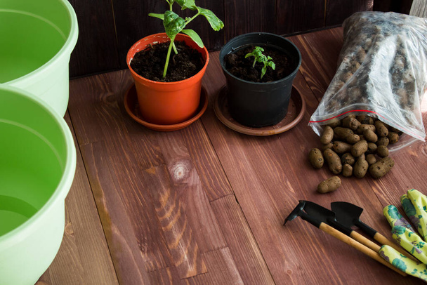  jardinería en casa, cultivo en casa. Ollas, guantes, herramientas sobre un fondo de madera. plántulas. Foto de alta calidad - Foto, Imagen
