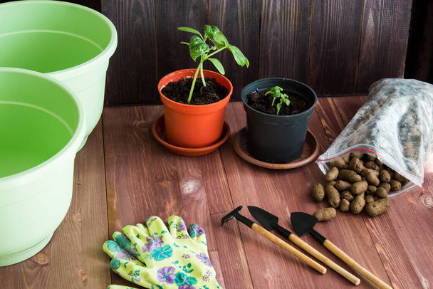  jardinería en casa, cultivo en casa. Ollas, guantes, herramientas sobre un fondo de madera. plántulas. Foto de alta calidad - Foto, Imagen