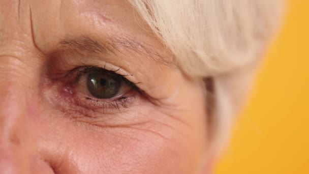 Göz kırpan yaşlı bir kadının yeşil gözünün makro çekimi.. - Video, Çekim