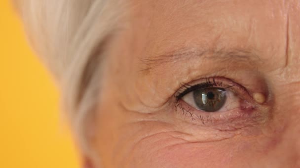 Macro tiro de ojo verde de una anciana. Parpadeando y sonriendo - Metraje, vídeo