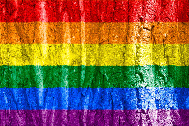 LGBT. De regenboog is op textuur. Sjabloon. Inhoud voor de ontwerper. - Foto, afbeelding