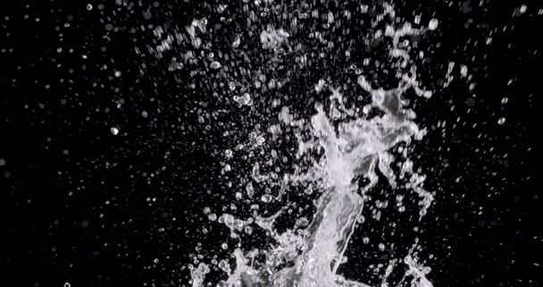 розбризкування води, що вибухає з нижньої частини екрану, і краплі води падають на чорний фон
. - Фото, зображення