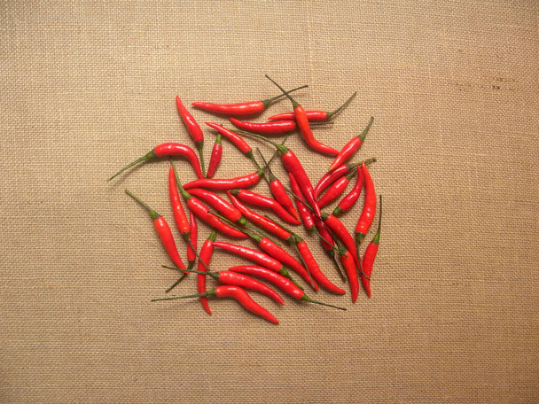 Piros színű nyers egész friss chili paprika - Fotó, kép