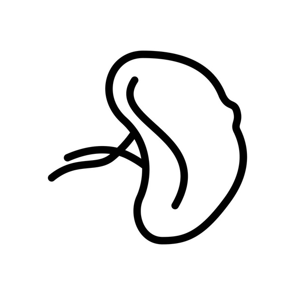 ikona čáry symbolu sleziny, vektorová ilustrace - Vektor, obrázek
