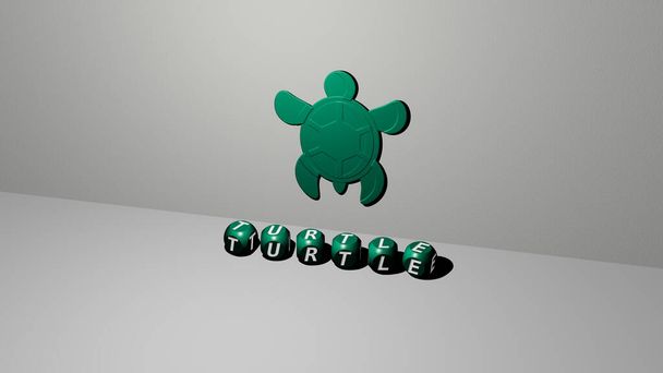 turtle 3D icon on the wall and text of cubic alphabets on the floor, 3D illustration - Photo, Image