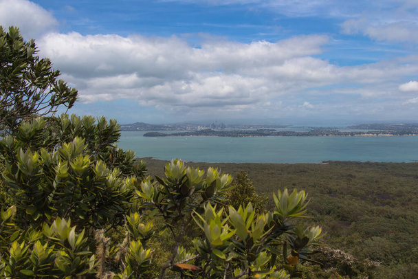 Вид Окленда с острова Рангитото, Новая Зеландия. - Фото, изображение
