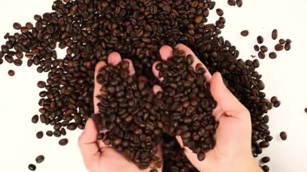 paahdettuja ruskeita kahvipapuja, naisten kädet, ylhäältä katsottuna - Materiaali, video
