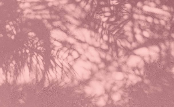 Σκιά από φυσικά φύλλα φοίνικα σε ροζέ χρυσό τοίχο από μπετόν για φόντο και ταπετσαρία - Φωτογραφία, εικόνα