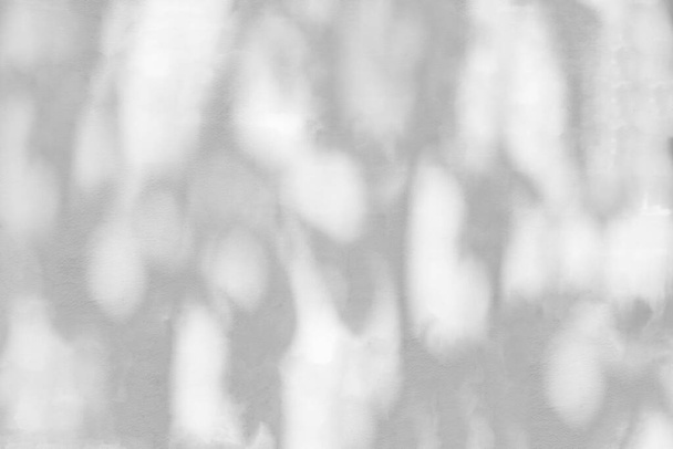 Abstraktní listy stín pozadí s lehkým bokeh, přírodní listy strom větev padající na bílou stěnu textury pro pozadí a tapety, černé a bílé, monochrom - Fotografie, Obrázek
