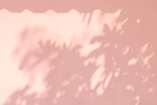 Abstract bladeren schaduw kleurrijke achtergrond met boomtak op betonnen muur textuur onder raamkozijn voor achtergrond en behang, natuur kunst op muur, roze rose goud schaduw - Foto, afbeelding