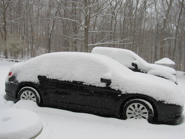 Zaparkovaná auta pokrytá sněhem během sněhové bouře se stromy v pozadí - Fotografie, Obrázek