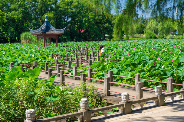 Sommerlandschaft des Tourismusgebiets am East Lake in Wuhan, Hubei - Foto, Bild