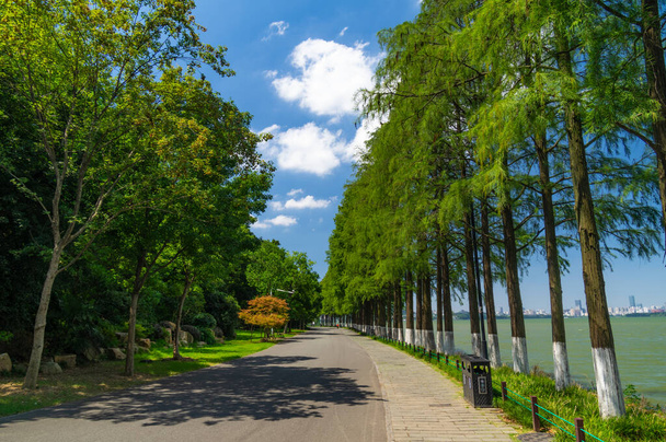 Summer scenery of East Lake Tourism Scenic Area in Wuhan, Hubei - Photo, Image
