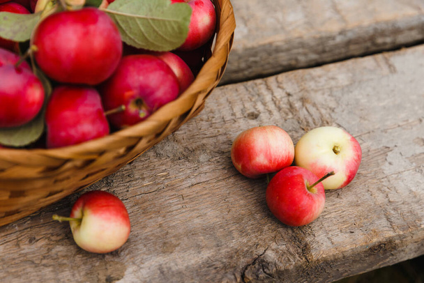 Apanhei fruta. Cesta com maçãs vermelhas e laranja na velha mesa de madeira rústica. Culturas colhidas ao ar livre. - Foto, Imagem