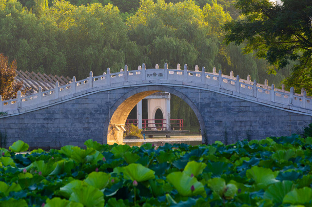 Hubei Wuhan lato miasto panorama - Zdjęcie, obraz