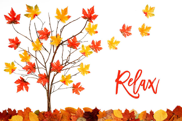 Tree With Colorful Leaf Decoration, Leaves Flying Away, Text Relax - Fotografie, Obrázek