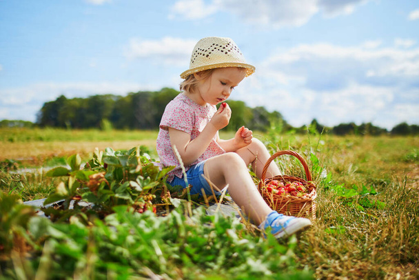 Adorable toddler girl in straw hat picking fresh organic strawberries on farm. Delicious healthy snack for small children. Outdoor summer activities for little kids - 写真・画像