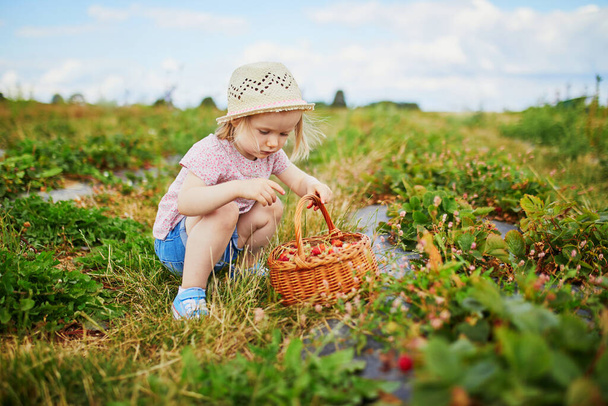 Adorable toddler girl in straw hat picking fresh organic strawberries on farm. Delicious healthy snack for small children. Outdoor summer activities for little kids - Foto, Imagem