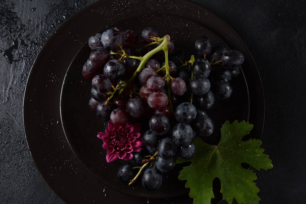 Bunch of dark blue / black grapes  with leaves  on black background  - 写真・画像