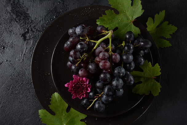 Bunch of dark blue / black grapes  with leaves  on black background  - 写真・画像