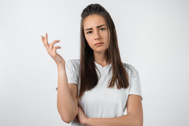 What the hell are you talking about, nonsense. Studio shot of frustrated female with long chestnut hair gesturing with raised palm, frowning, being displeased and confused with dumb question. - Foto, Bild