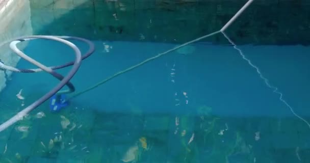 Man schoonmaken zwembad met handmatige onderwater stofzuiger. Dienst en technologie. - Video