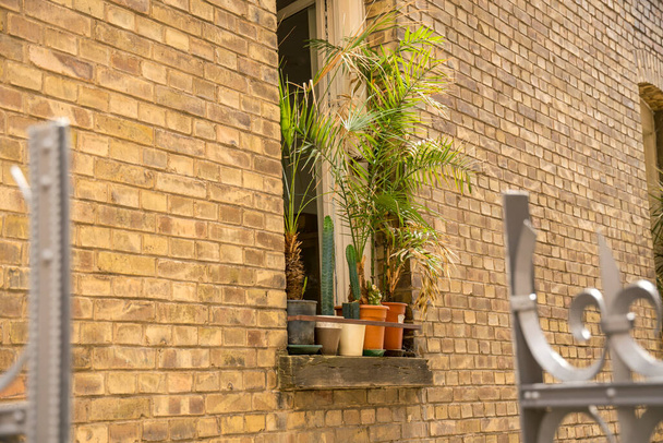 Σπίτι τούβλο με πράσινα φυτά στο παράθυρο - Φωτογραφία, εικόνα