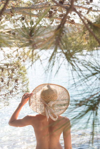 Rear view of topless beautiful woman wearing nothing but straw sun hat realaxing on wild coast of Adriatic sea on a beach in shade of pine tree. - Photo, Image