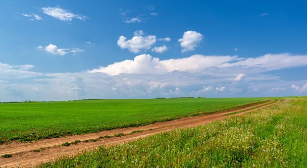 Jarní fotografie, polní cesta na pšeničných polích. jízdní pruh určený pro pohyb, komunikaci - Fotografie, Obrázek