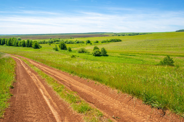 zomerlandschap, onverharde weg van zwarte grond, blauwe wolkenloze lucht, groene tarwe, een wandeling langs het Europese deel van de aarde - Foto, afbeelding