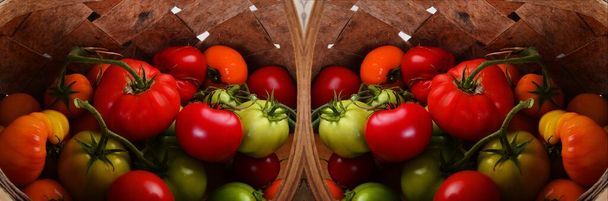Hasır sepetteki taze organik domatesler, panoramik fotoğraf, çift görüntü. - Fotoğraf, Görsel