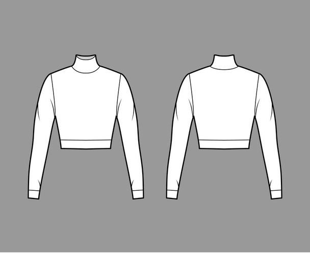 Обрізаний светр з черепашками технічна ілюстрація моди з довгими рукавами, тісно пристосованою формою. Плоский
  - Вектор, зображення