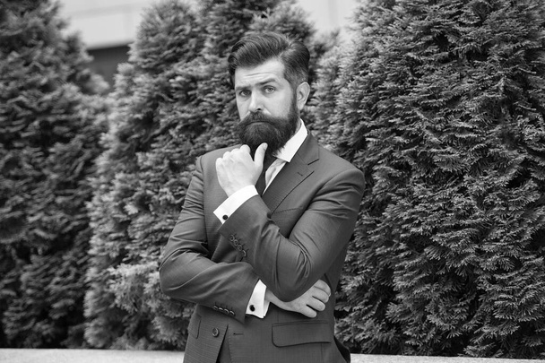 Business man bearded wear perfect fashionable suit. Successful entrepreneur. Business life. Man businessman classic style urban park background. Businessman well groomed hairstyle. Business center - Foto, afbeelding