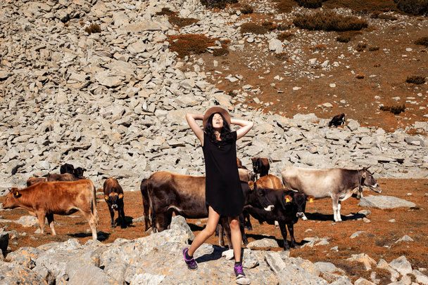 Herd of cows grazing  in mountain and woman - Valokuva, kuva