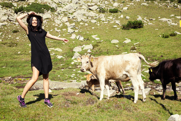 Stádo krav pasoucích se v horách a ženách - Fotografie, Obrázek