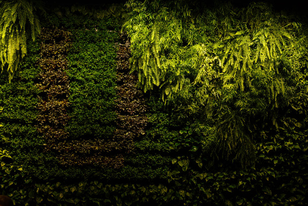 Eine große grüne Wiese mit Bäumen im Hintergrund - Foto, Bild