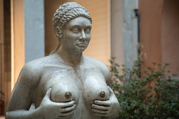 Treviso-Fountain of the Tits,point of interest for tourism,travelers and art.  - Foto, imagen