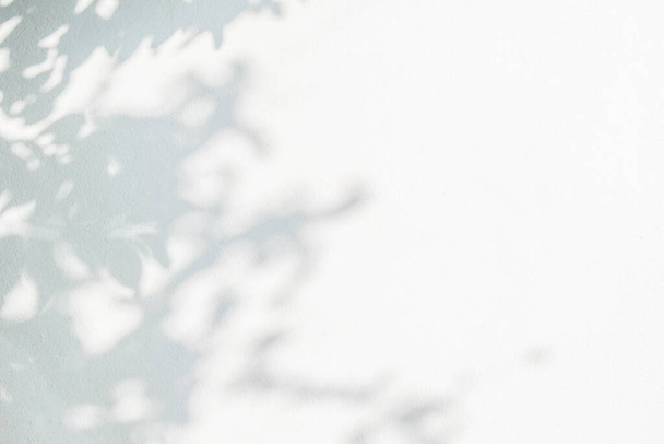 Astratto foglie naturali ombra sfondo e ramo su bianco struttura della parete di cemento per sfondo e carta da parati, natura ombra arte su wal - Foto, immagini