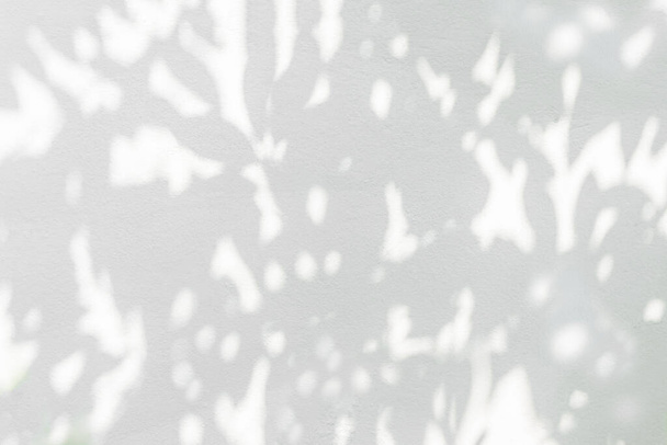 Donkere bladeren schaduw, abstracte zwarte schaduw achtergrond van boom tak met lichte bokeh achtergrond vallen op wit beton muur textuur, zwart-wit, monochroom - Foto, afbeelding