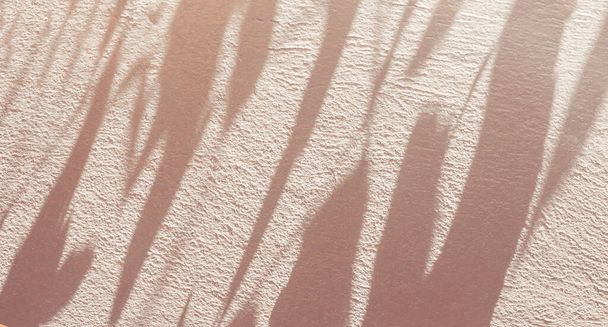 Αφηρημένη αφήνει σκιά πολύχρωμο φόντο σε τσιμεντένια υφή τοίχου για φόντο και ταπετσαρία, φύση τέχνη στον τοίχο, τριαντάφυλλο χρυσό σκιά backgroun - Φωτογραφία, εικόνα