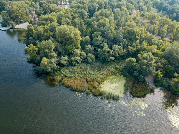 Vista aérea del dron. Orilla verde del río Dniéper en un día soleado de verano. - Foto, imagen