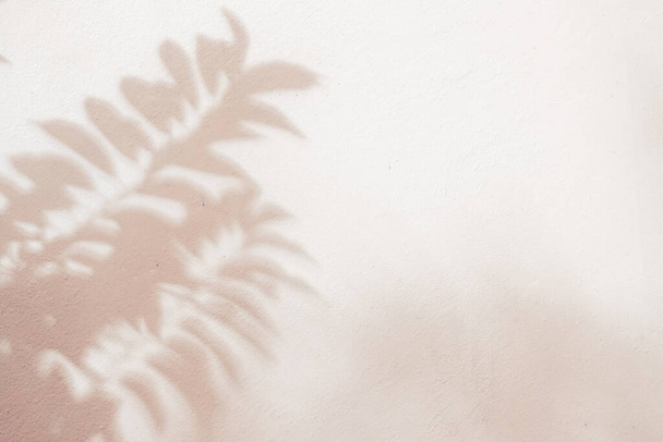 Abstract natuurlijke bladeren schaduw achtergrond van boom tak vallen op wit beton muur textuur, natuur kunst op muur, roze rose goud schaduw op licht blauwe backgroun - Foto, afbeelding