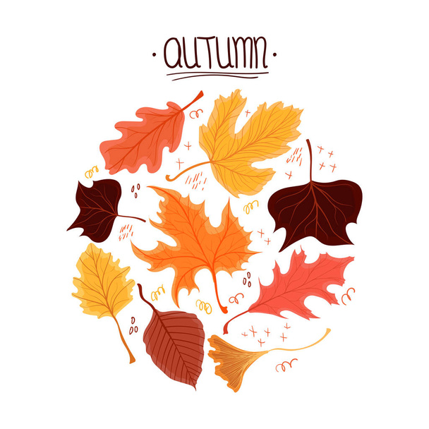 Gyönyörű színes őszi levelek, őszi lombozat háttér. Vektorállomány illusztráció elszigetelt fehér alapon. Botanikus erdei növények szezonális ünnep üdvözlőkártya tervezés stb. - Vektor, kép