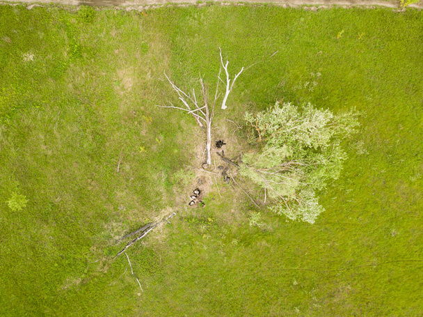 Aerial drone view. Green meadow in spring. - Fotografie, Obrázek