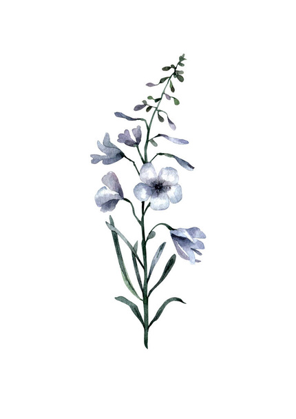 Cornflower seamless pattern. Adorable watercolor blue flower - Φωτογραφία, εικόνα