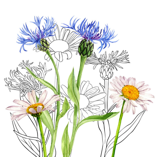 watercolor drawing wild flowers - Foto, Imagen