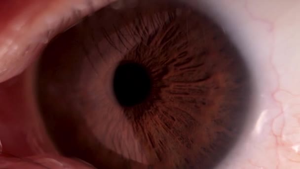 σούπερ μακροσκοπική κίνηση ματιών και ίριδας - Πλάνα, βίντεο