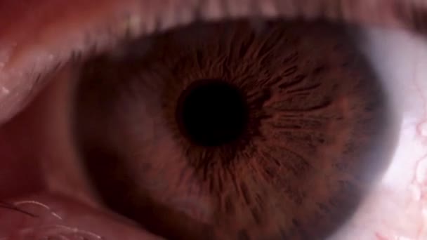 super macro oog en iris beweging - Video