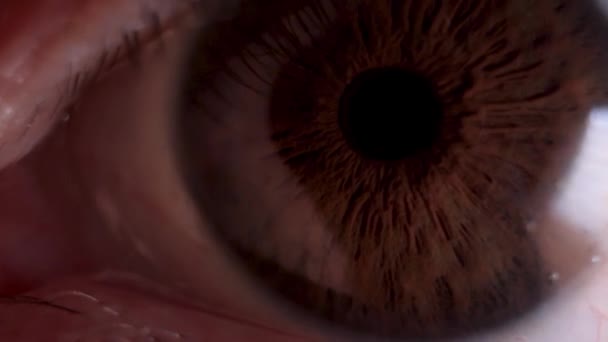 super macro eye and iris movement - Footage, Video