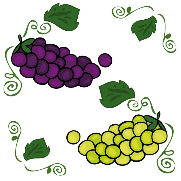 Bando de uvas. - Vetor, Imagem